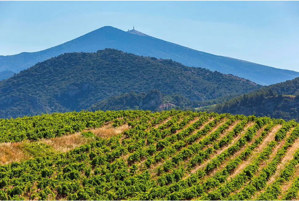 LE TERROIR